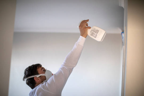 Attic Mold Removal in Tyler, TX