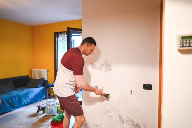 Best Affordable Mold Removal  in Tyler, TX